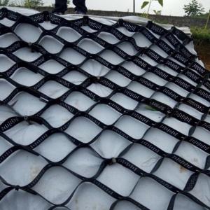 China Black Earthwork Products Hdpe Geocel for Smooth Geocel Gravel Driveway Paving Grid on sale