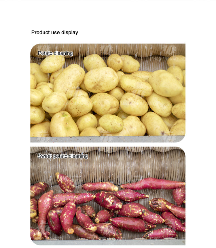 Root Veg 1.5KW Commercial Potato Washer , Kiwifruit Lotus Root Potato Peeler Machine