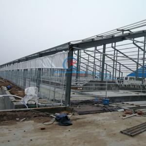 China Prefabricated Steel Structure Cow Shed Customized Steel Frame Shed wholesale