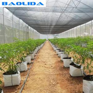 China Dome Arch 200 Micron Single-Span Plastic Film Greenhouse Tunnel Plastic wholesale