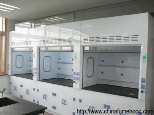 China Full PP Fume Hood , PVC Window Laboratory Fume Cupboards Adjust Air Speed wholesale