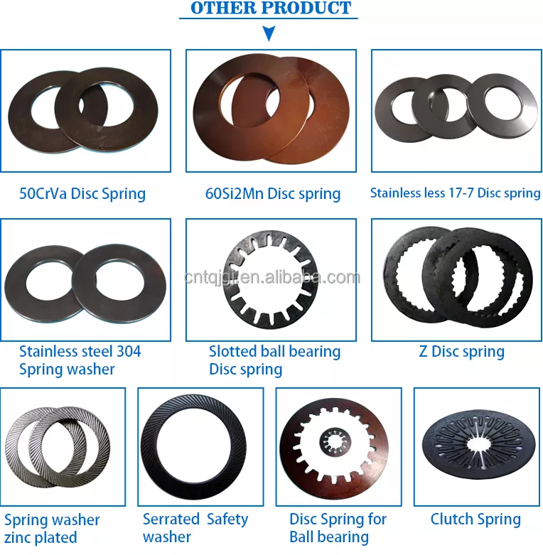 Customizable Options Disc Spring Custom Design for M3M4M5M6M8M10M12M14M16M18M20M22M24M27m30 Bolts in 18-8 Stainless Steel