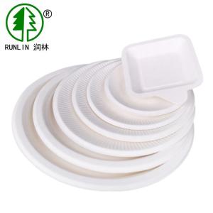 China Sugarcane White Eco Friendly Plates Biodegradable Compostable Bagasse Dish wholesale