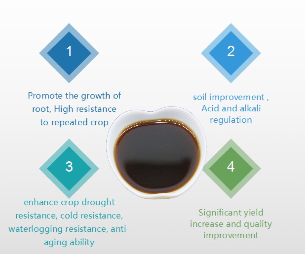 Agricultural Microbial Inoculant Organic Fertilizer Polyglutamic Acid Special Fertilizer For Fruits