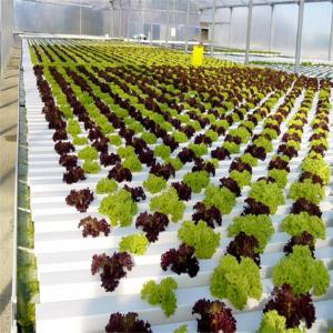 China 100% Virgin Pvc Pipe Large Plastic Greenhouse Elliptical Shape Hydroponic Nft System wholesale