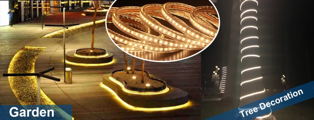 120 LEDs Flexible Tape Lamp with IC Home Lighting 110v/220V 2835 LED Strip Light Waterproof IP65