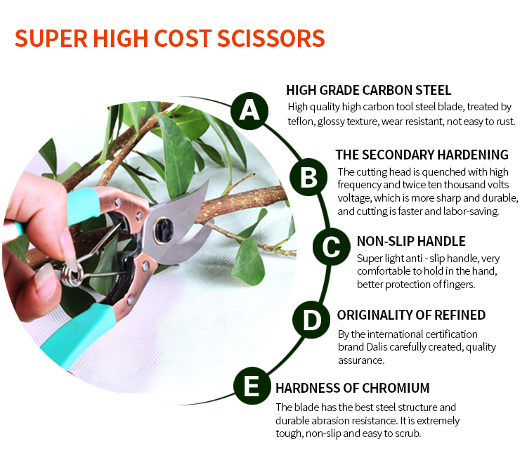 High Hardness Fruit Picking Grape Garden Pruning Scissors Flower Shears 350G
