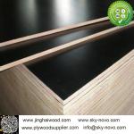 Black film face plywood