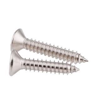 China Convenient Fastening Solution 304 316L M2*50 Stainless Steel Self Tapping Metal Screws wholesale