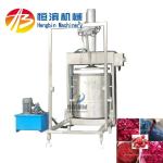 200kg/h Commercial Hydraulic Pineapple Mango Celery Strawberry Lemon Apple