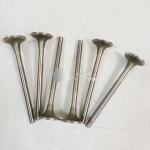 High Quality Excavator Auto Parts Engine Parts NT855 Exhaust Valve 3040830