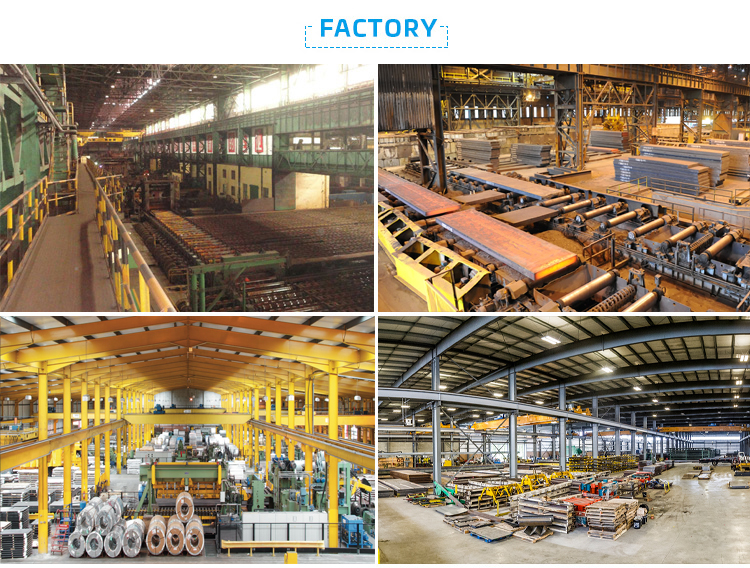 Pre Painted Galvanized Color Coated Steel Coil Sheet PPGI Anticorrosive Rustproof