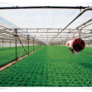 China Hydroponic NFT System for Greenhouse Optional Irrigation Solution Included wholesale
