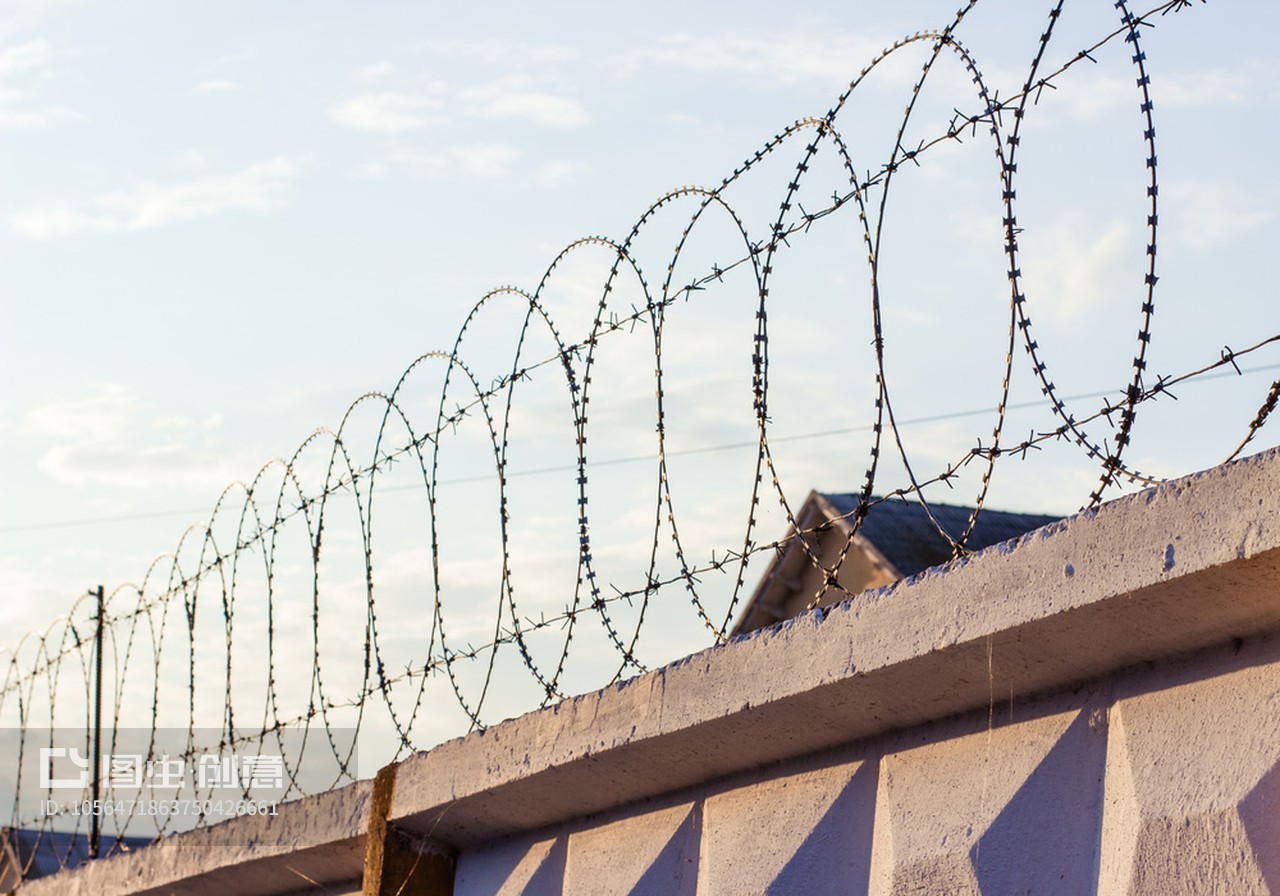 Galvanized Security Fencing Concertina Price Anti Climb Blade Barbed Wire Prison Razor Barbed Wire