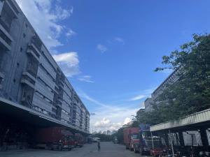 China Import Export China Free Trade Zone wholesale