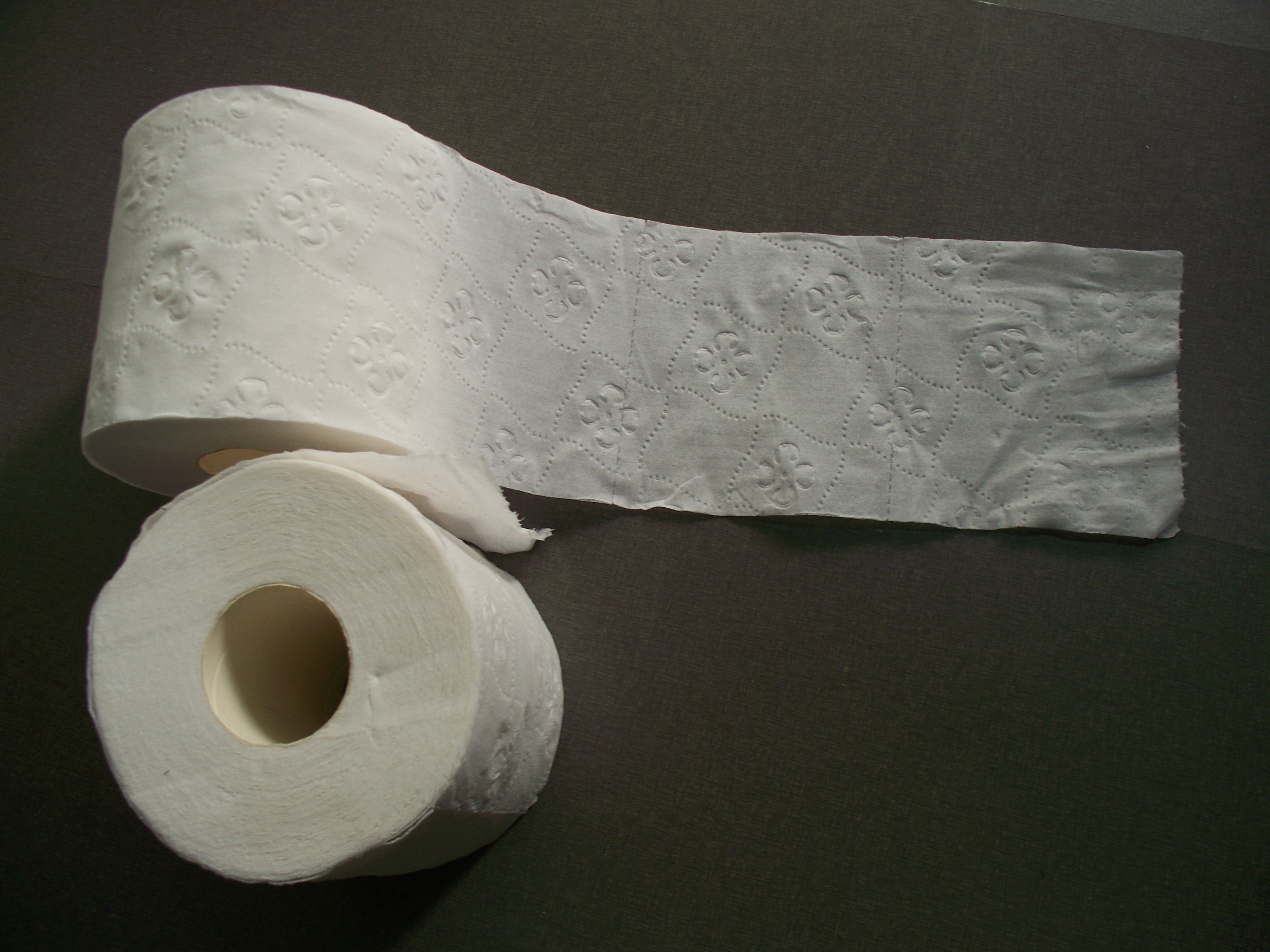 2 Ply Standard White Virgin Pulp Small Toilet Roll Bath Tissue