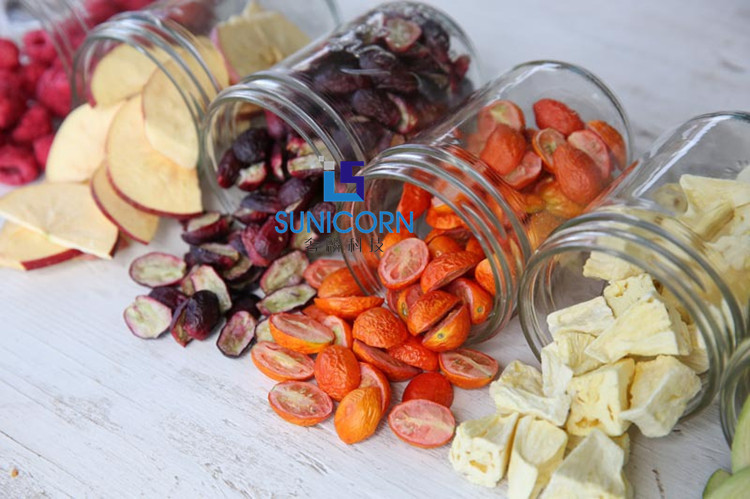Light Weight Mini Freeze Dryer Machine For Fruits Vegetables