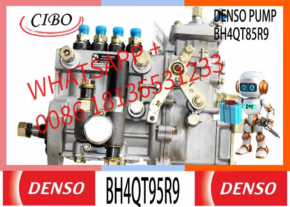 SD1-HA10001180 BH4QT95R9 FUEL INJECTION PUMP FOR YUNNEI POWER 4102GB-110007 ENGINE