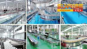 China Drink Chain Conveyor wholesale