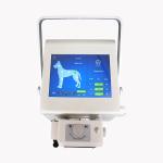 Hot sale X ray veterinary