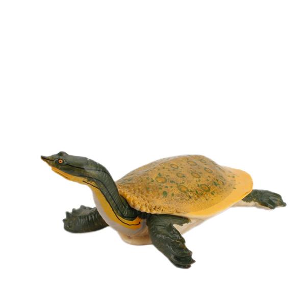 Educational Sea Animal Figure Set Realistic Details Assorted Colors for Indoor /