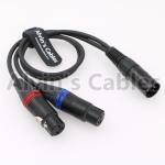Dual Track Audio Arri Power Cable XLR 5 Pin Male To 2 XLRs 3 Pin Female