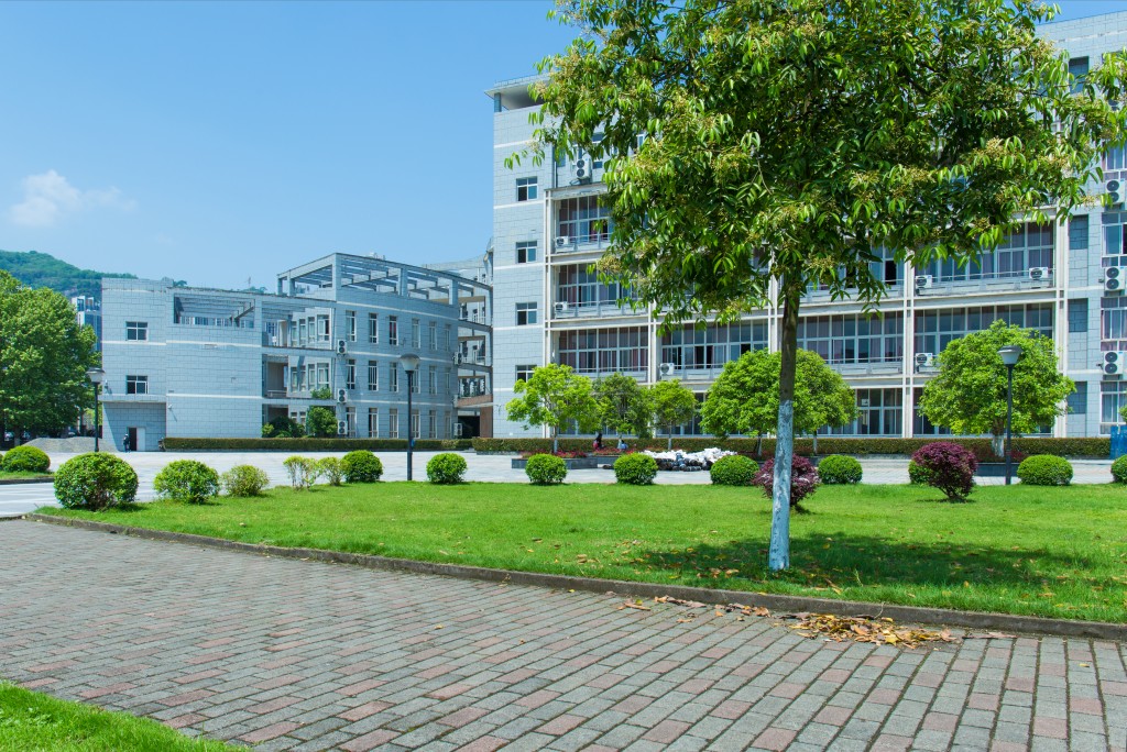 School Buildings for Emergencies