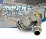 Waterproof IP68 Cable Gland PA66 brase Stainless steel