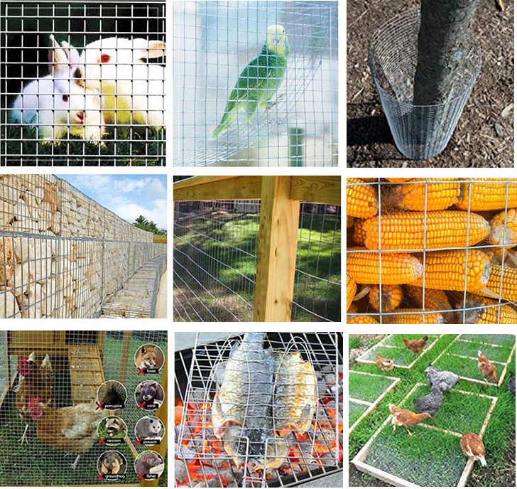 0.5-2 mm 1/2x1/2 1x1 1.5 inch 1/4 50x50 1cm square mesh galvanized after welding hot dipped galvanized welded wire