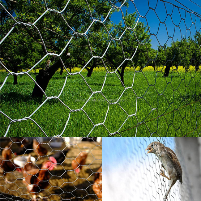 Decorative 50ft Green Metal Chicken Mesh Fence 2.1mm ODM For Poultry Cage