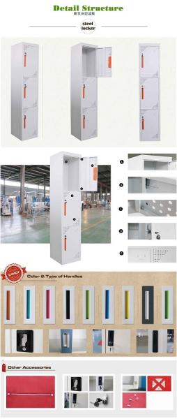 supply Steel locker cabinet FYD-G003,H1850XW380XD450mm, KD structure,3 door,3