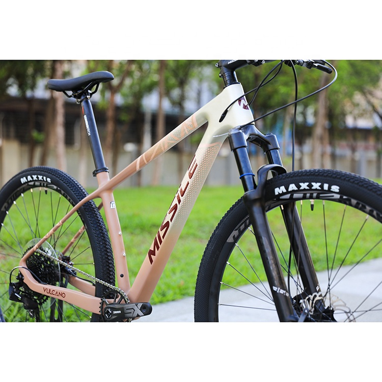29 Inch MTB Mountainbike Carbon Fibre Hard Frame Mountain Bike Speed Bicicletas