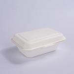 White Sustainable Disposable Lunch Box Take Away Boxes For Food Clamshells 600ml