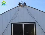 Commercial Backyard Light Dep Greenhouse Plastic Film Hot Galvanized Steel