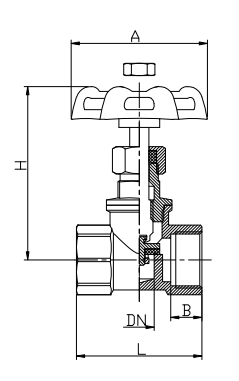 Stainless Steel Nut Female X Female 2" Brass Stop Valve