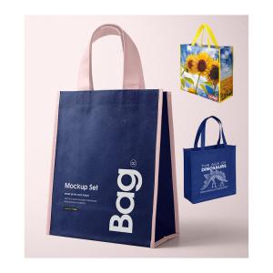 China Promotional Reusable Foldable PP Non Woven Shopping Bag wholesale