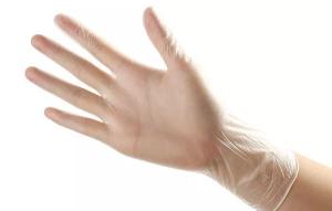China PVC Powder Free Disposable Vinyl Gloves For Foodservice wholesale