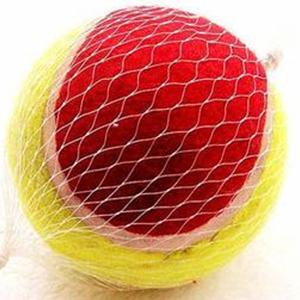 China 9.5&quot; Jumbo inflated tennis ball wholesale