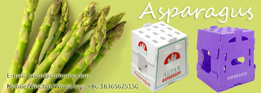 PP Corrugated Plastic Box for Vegetable and Fruit Box Corn broccoli and Agriculture Packing box