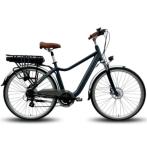 700C Wheel Portable Electric Bike Folding Non Battery Operated Bicycle