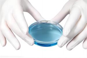 China Disposable Ps Cell Culture Dish Round 35mm 60mm 70mm 90mm 100mm 120mm 150mm wholesale