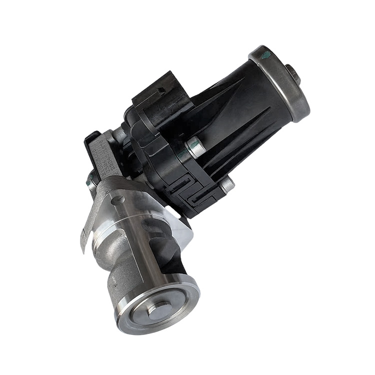 Foton Truck EGR Valve Omako Ring Yuni D19 Engine Exhaust Gas Circulation Valve X10005005