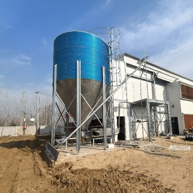 Space-Saving Design High Yield H-Type Fully Automatic Layer Cages for Modern Farms