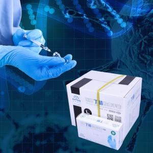 China Customized Logo Disposable Polyethylene Gloves Polyvinylchloride Vinyl Material wholesale