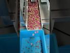 China Vacuum Gravity Grading Machine For Dried Roses Flower wholesale