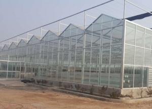 China High Grade Galvanized Pipe Greenhouse Glass Covering Commercial wholesale