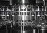 28000BPH Mango Juice Filling Machine / Glass Bottle Filling Machine