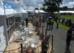Luxury Wedding Pagoda Tent Heavy Duty Aluminum Alloy Frame For Party Event