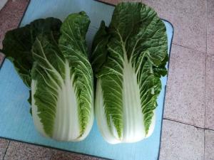 China Green Outside Fresh Chinese Cabbage , Small Chinese Cabbage No Pesticide wholesale