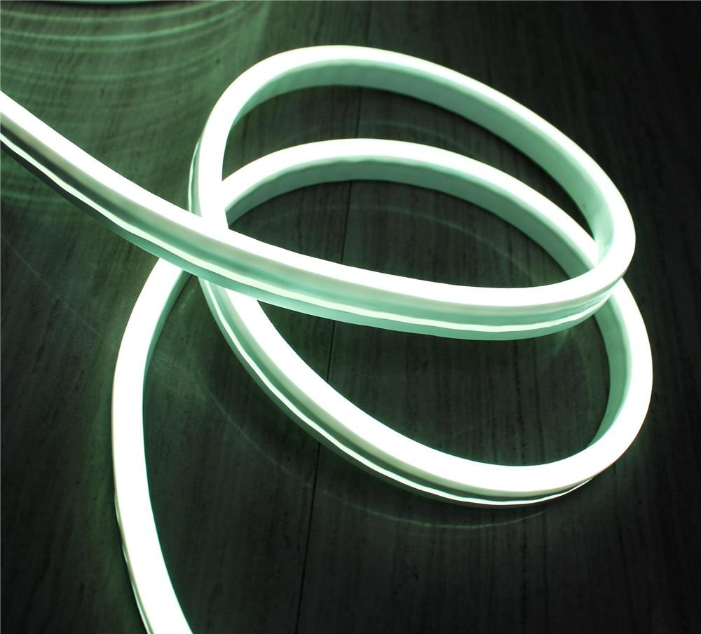 12V Ultra slim RGB Color changing Neon Rope Flexible flat surface 11x19mm side view